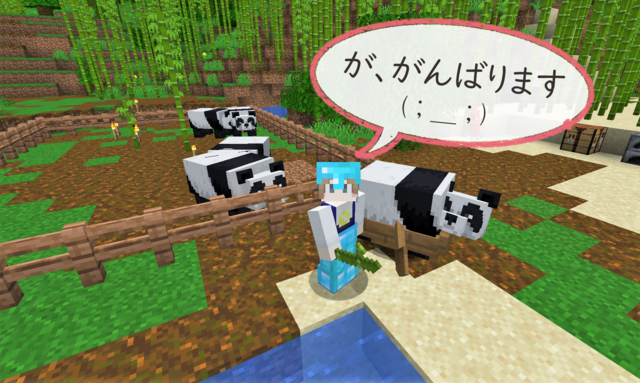 2周目のパンダ旅.png