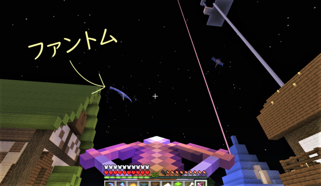 2羽貫通させるって.png