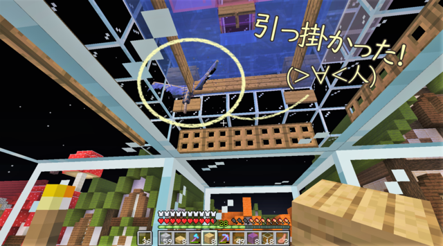 4夜 トラップ成功1.png