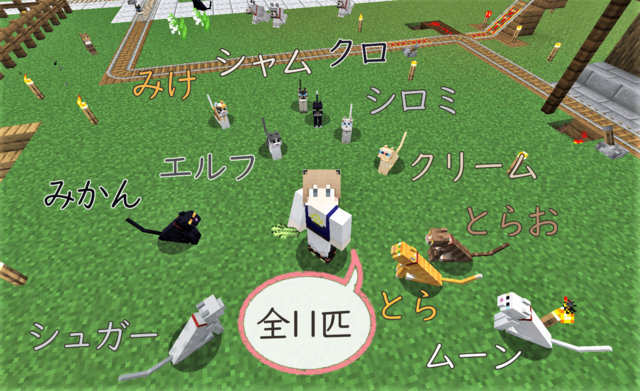 ねこちゃんず11 ネーム.png