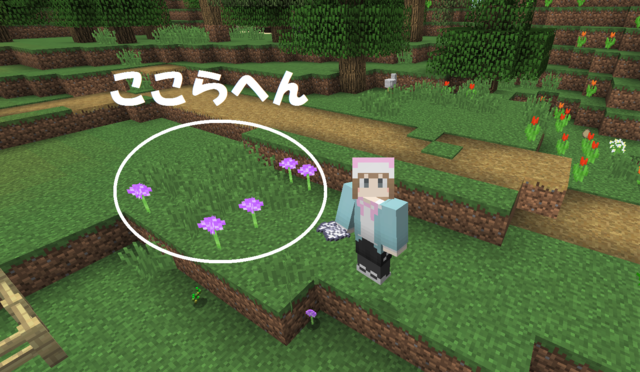 アリウムいっぱい.png