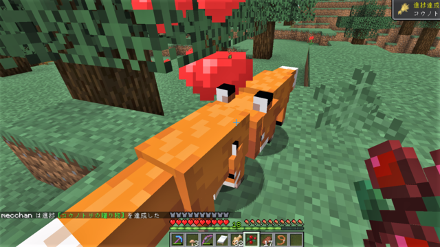 キツネ コウノトリの贈り物.png