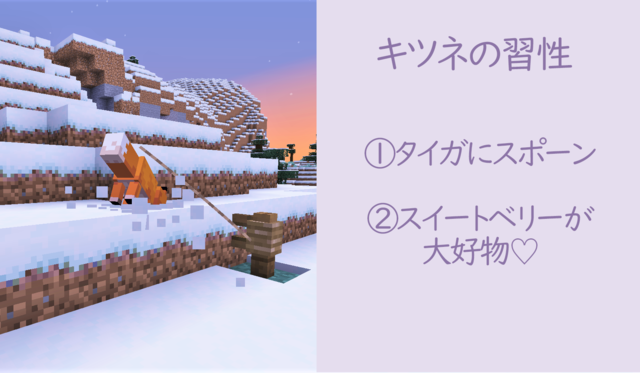 キツネの習性.png