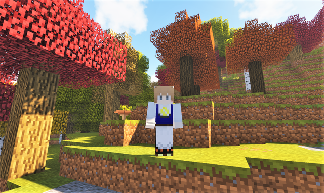 出会ったバイオーム Seasonal Forest .png