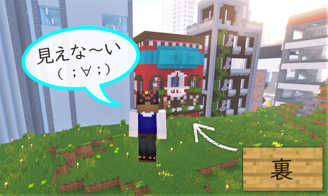 朱サバ 撮影が難しく3.png