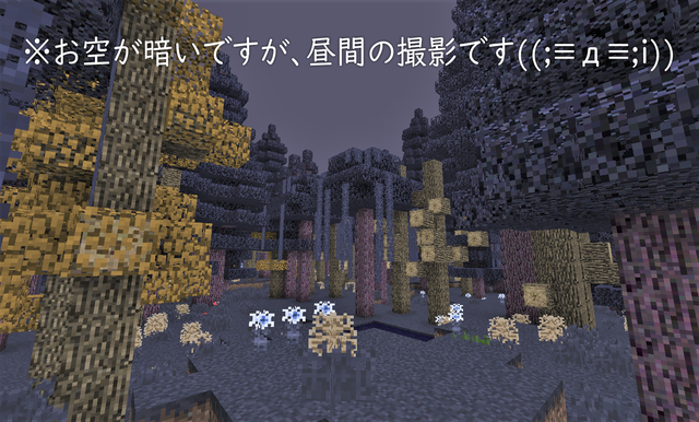 Ominous Woods 2.png