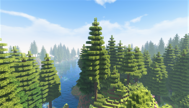 Temperate Rainforest 外観 大きい木.png