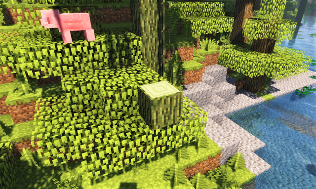 Temperate Rainforest 柳2.png