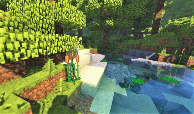 Temperate Rainforest 水辺3.png